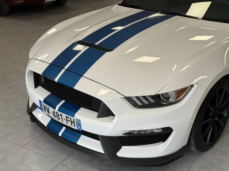 Ford Mustang Shelby GT350 - TrackPack