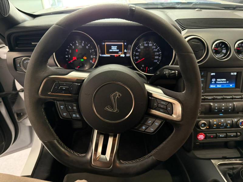 Ford Mustang Shelby GT350 - TrackPack