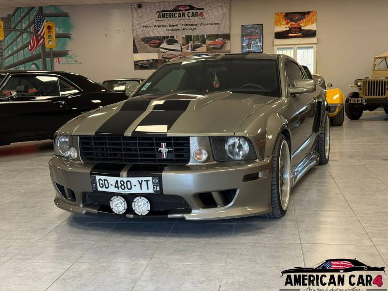 Ford Mustang GT 4.6 V8 Kit Cervini 
